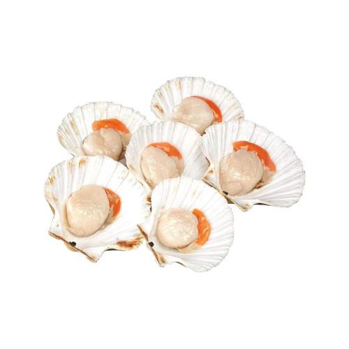 Half Shell Scallop White 白色半壳带子 1kg