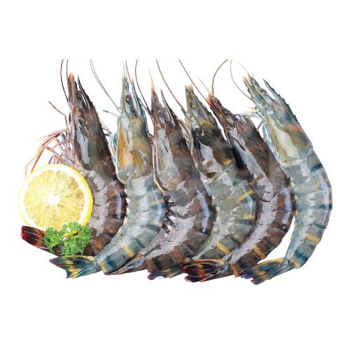 Fresh Tiger Prawn