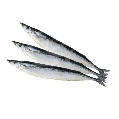 Sanma Fish 秋刀鱼 200-300g