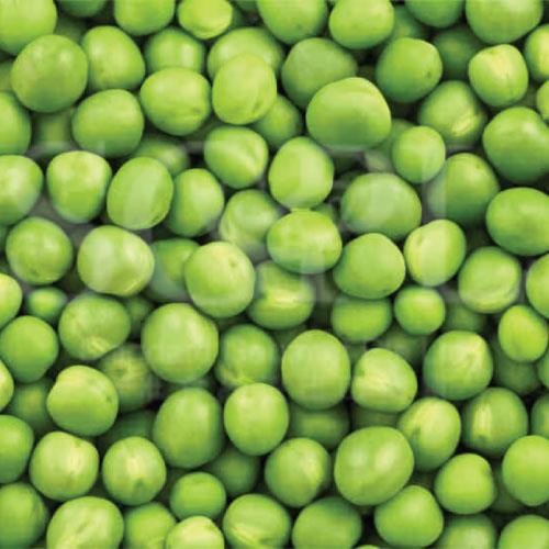 Green Peas 绿豆 2kg